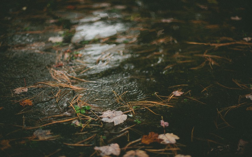 Rayonlarda intensiv yağış yağacaq, güclü külək əsəcək - XƏBƏRDARLIQ