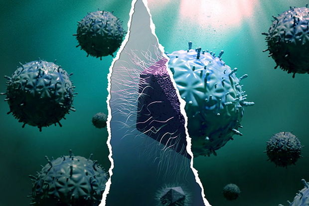 Yeni virus - “mirus” tapılıb - FOTO