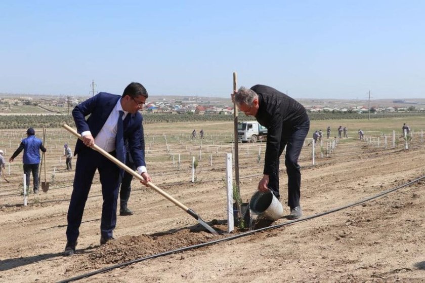Ümummillli Lider Heydər Əliyevin 100 illik yubileyinə həsr olunmuş ağacəkmə aksiyası keçirilib