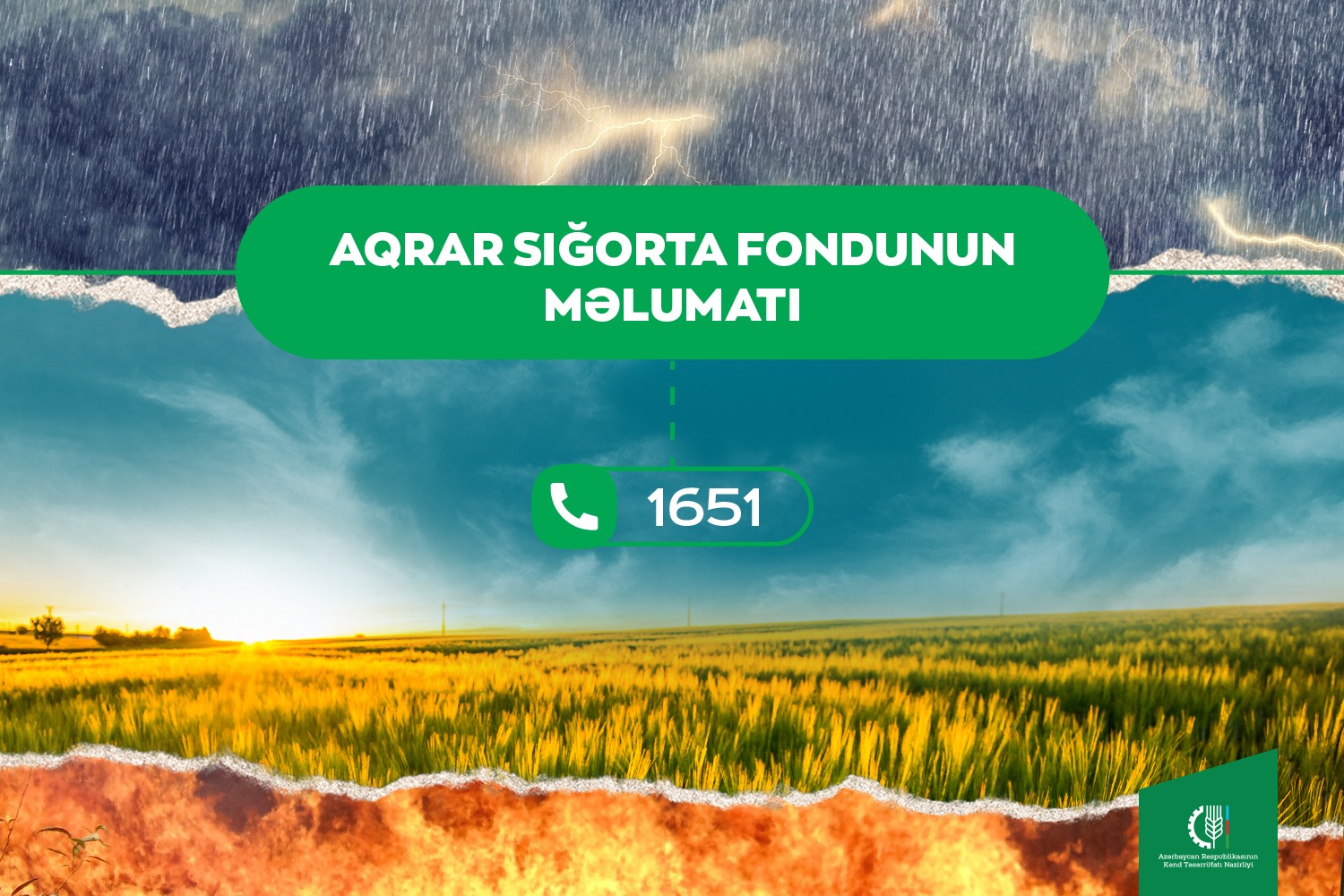 Qeyri-sabit hava şəraitinin təsərrüfatlara vurduğu zərərlə bağlı Aqrar Sığorta Fonduna 92 müraciət daxil olub