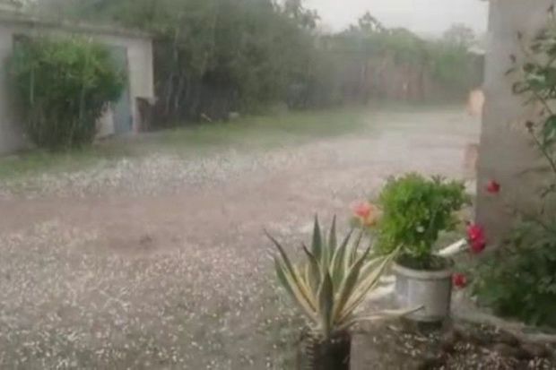 İmişliyə dolu düşüb, taxıl sahələrinə ziyan dəyib - FOTO