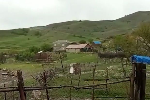 Qubada canavarlar kəndə hücum etdilər - VİDEO