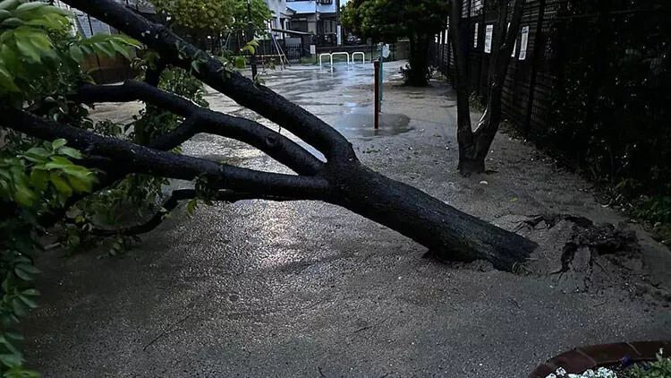 Yaponiyada çay bəndi uçub, evləri və avtomobilləri su basıb