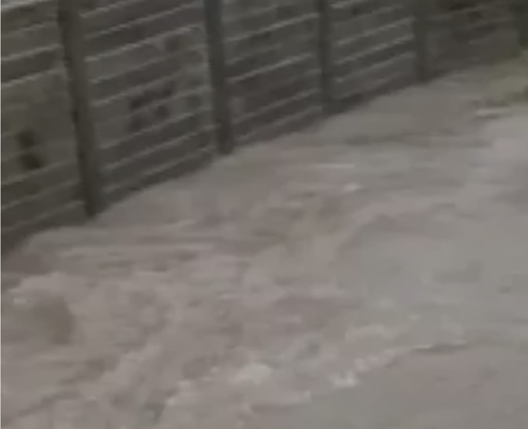 Yeni Zelandiyada daşqın səbəbindən fövqəladə vəziyyət elan edilib