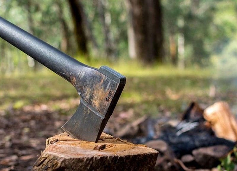 Ekoloji hüquqpozmalarla bağlı cinayət işi başlanıb - RƏSMİ