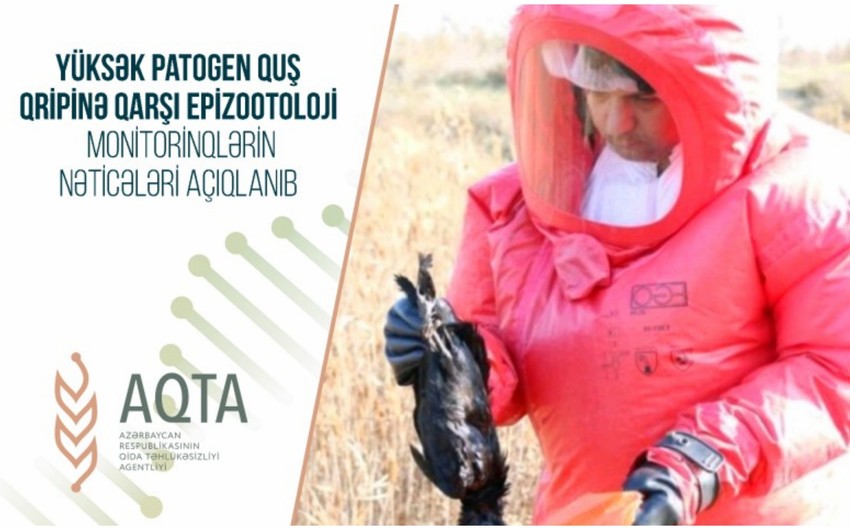 Azərbaycanda quş qripinə qarşı aparılan monitorinqlərin nəticələri açıqlanıb