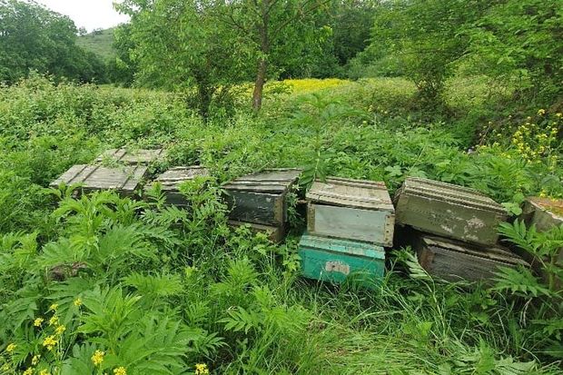 Xocavənddə partlayıcı vasitələr aşkar edilib - FOTO/VİDEO