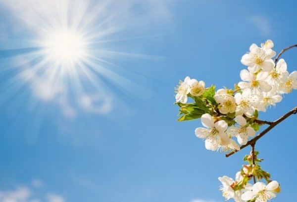 Bakıda 27 dərəcə isti olacaq, bəzi rayonlara dolu düşəcək