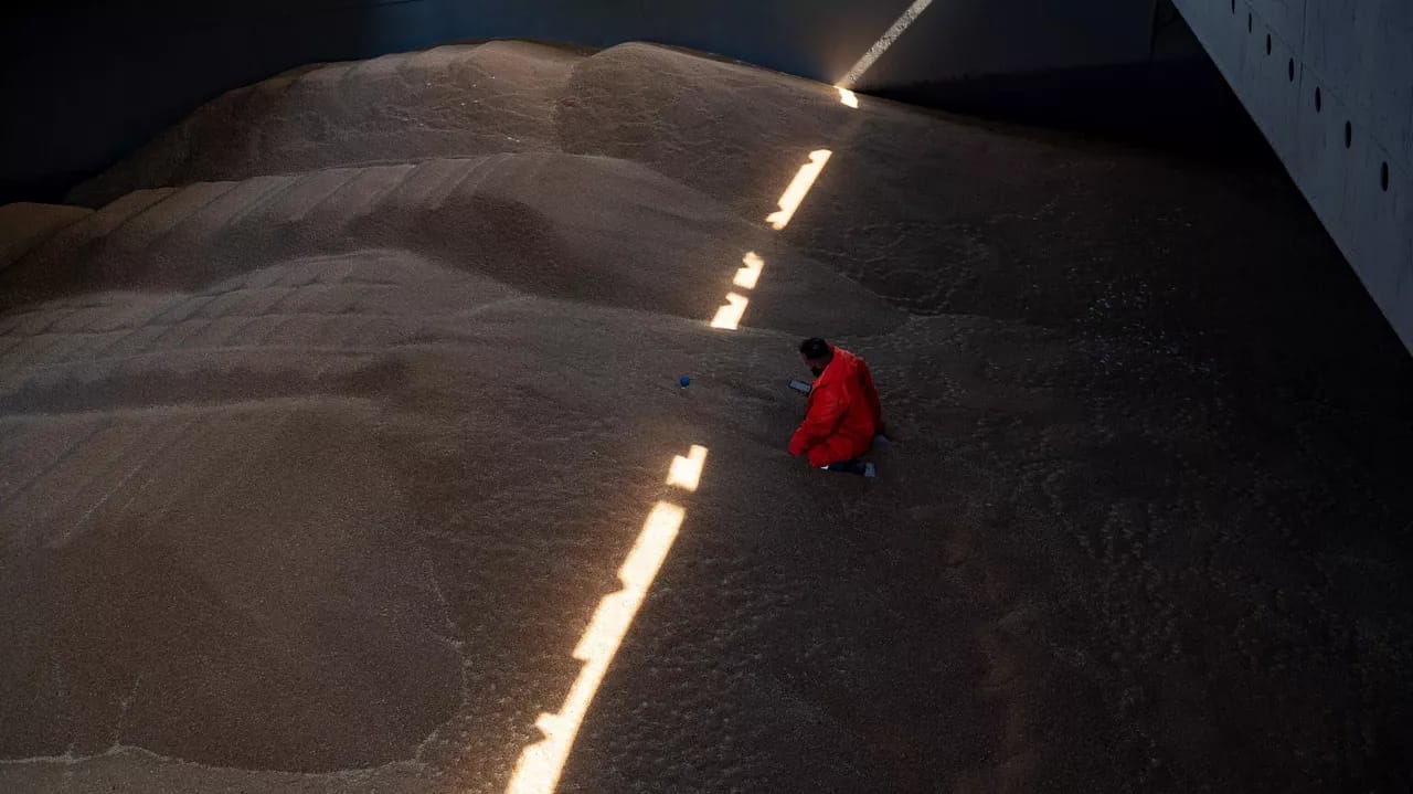 Bolqarıstan Ukraynadan taxıl idxalına qadağa qoya bilər