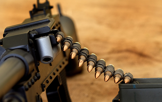 Rusiyadan patron və gilizlərin ixracına qadağa qoyuldu