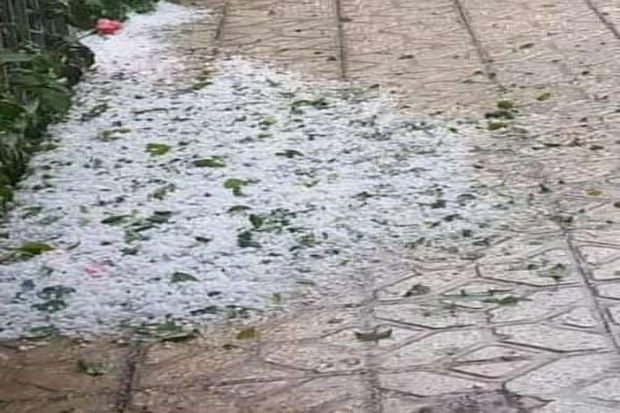 Naxçıvana dolu düşüb - VİDEO