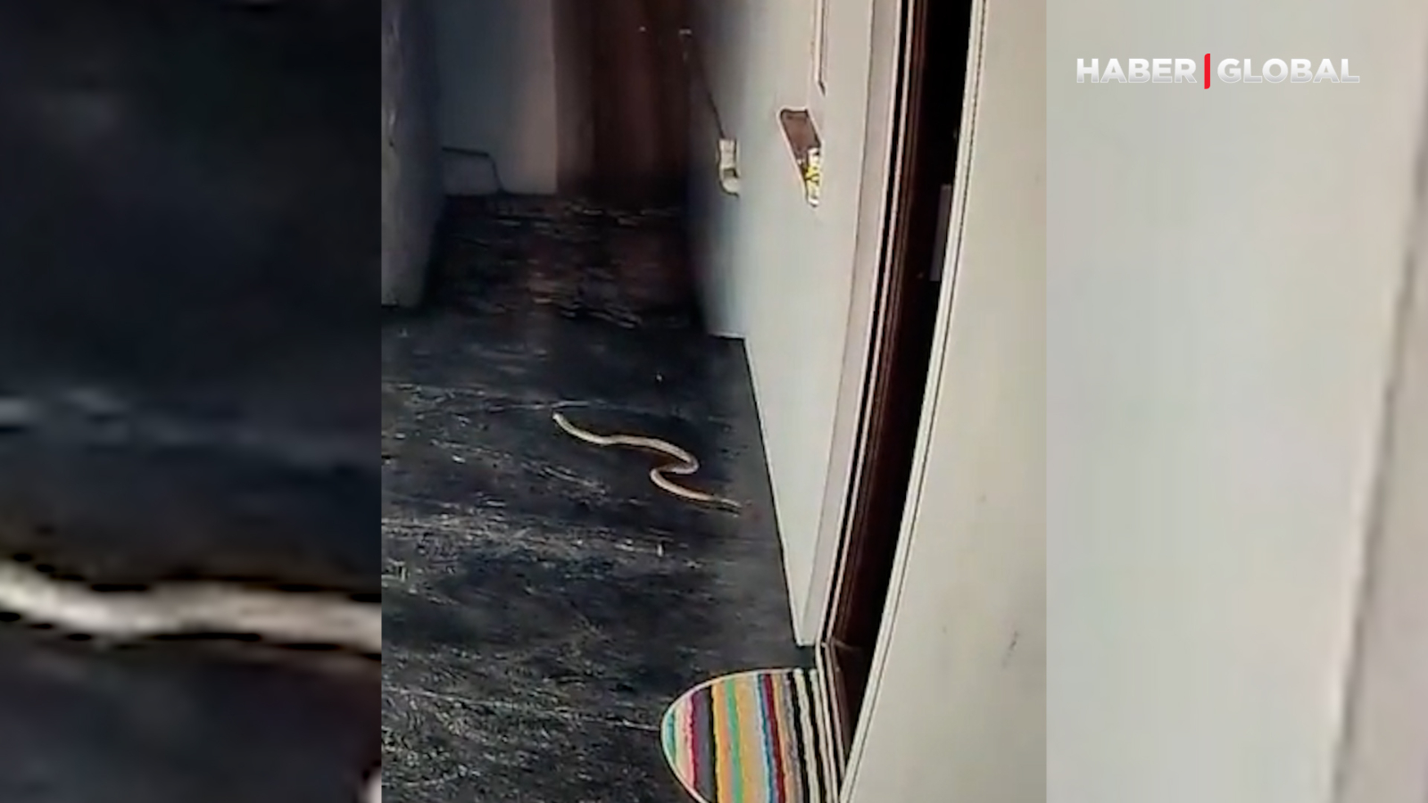 Balaca qız evinin qapısındakı ilandan belə xilas oldu - VİDEO