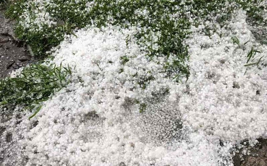 Gədəbəyə dolu düşüb