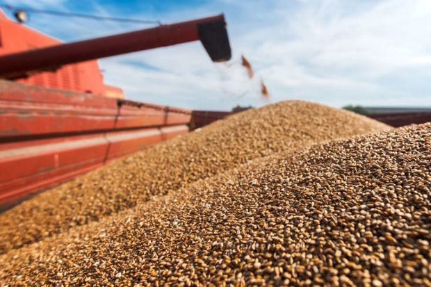 XİN başçısının müavini: “Rusiya Taxıl sazişinin uzadılması üçün heç bir perspektiv görmür”