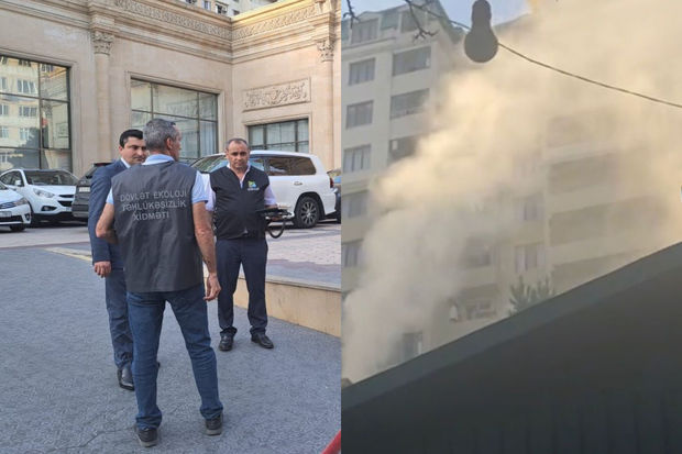 Bakıda atmosferi çirkləndirən restoranın rəhbərliyi cərimələnib - FOTO