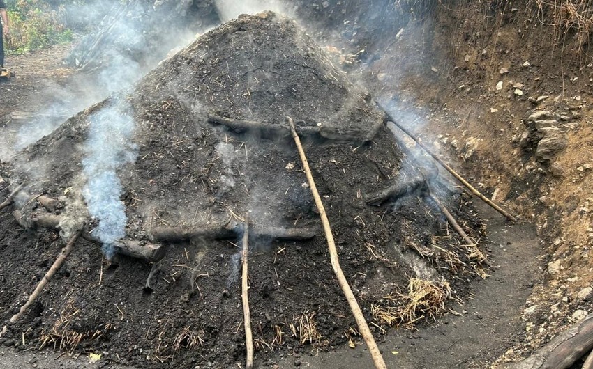 İsmayıllıda qanunsuz kömür istehsalı faktları aşkarlanıb