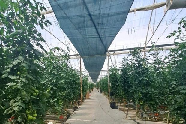 Bakıda istixanada nöqsanlar aşkarlanıb - FOTO