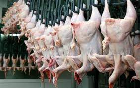 Azərbaycan bəzi ərazilərdən quş əti idxalına məhdudiyyət qoyub