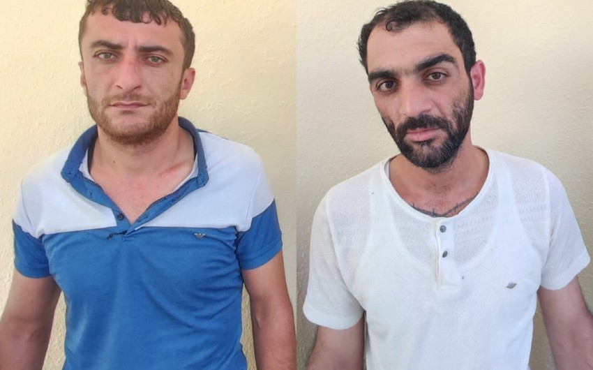 Lerikdə külli miqdarda müxtəlif növ nakotik vasitələr aşkarlanıb