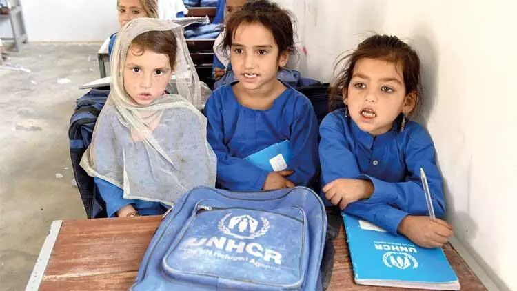 1 il ərzində 8 milyon insan qaçqın düşüb