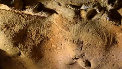Fransada 57 min illik Neandertal qravüraları tapılıb
