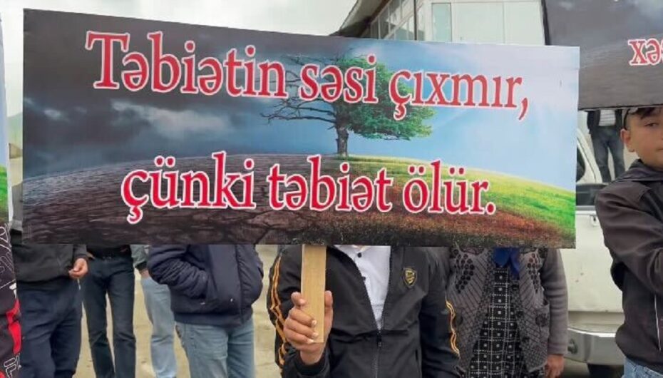 Söyüdlüdəki aksiyanın plakatlarını çap edən şəxs həbs edilib - ÖZƏL