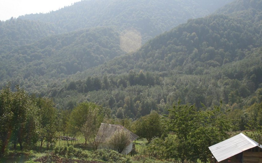 Lerikdə turist bədbəxt hadisə nəticəsində ölüb