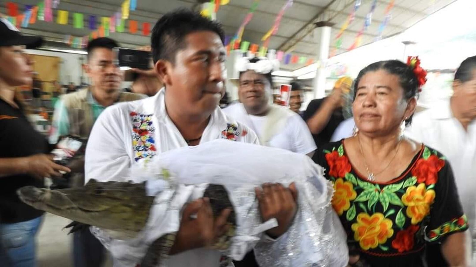 Meksika meri timsahla evlənib