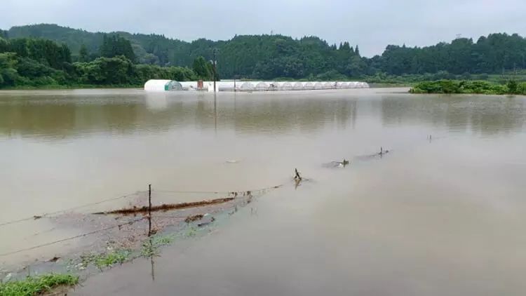 Yaponiyada torpaq sürüşməsi nəticəsində bir nəfər ölüb
