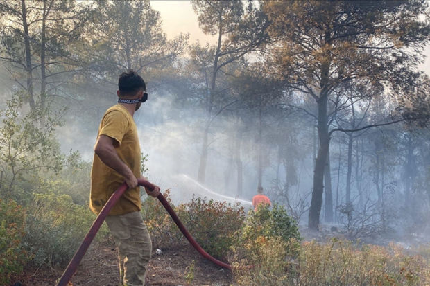 Türkiyədə meşə yanğınlarını törətməkdə şübhəli bilinən şəxslər saxlanılıblar