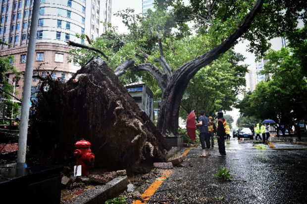 Çində “Talim” qasırğasına görə 230 mindən çox insan təxliyə edilib - VİDEO