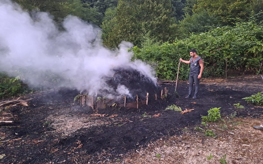 Lerikdə qanunsuz kömür quyusu aşkarlanıb