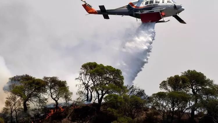 Yunanıstanda son 24 saatda 66 meşə yanğını baş verib
