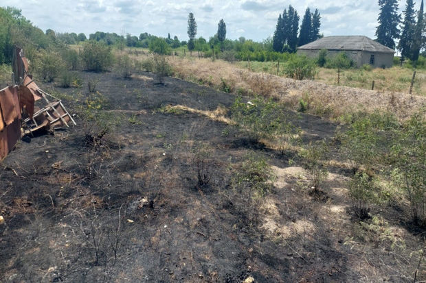Ağsu sakininin həyətini qəsdən yandıran şəxs müəyyən edildi - VİDEO