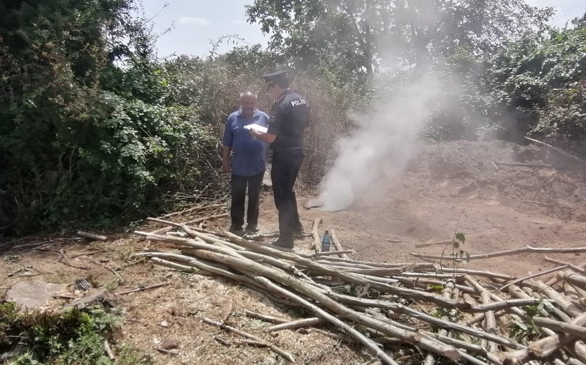 Oğuzda qanunsuz kömür quyuları aşkarlanıb