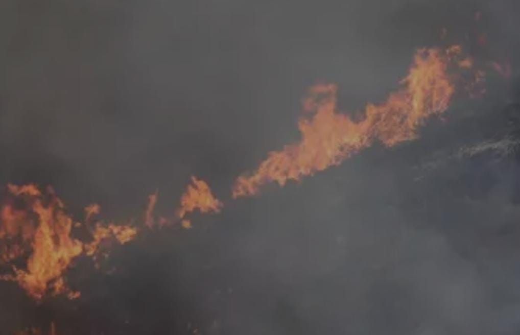 Əlcəzairdə meşə yanğınları nəticəsində ölənlərin sayı 34-ə çatıb