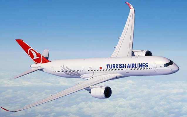 Sərnişin intihar etdi - Təyyarə təcili eniş etməli oldu