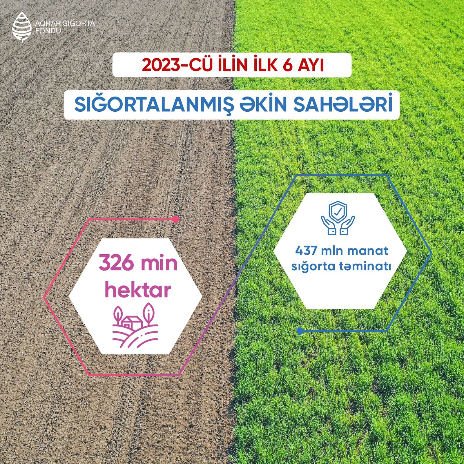 Aqrar Sığorta Fondu ilin ilk 6 ayı ərzində 326 min hektar əkin sahəsini sığortalayıb