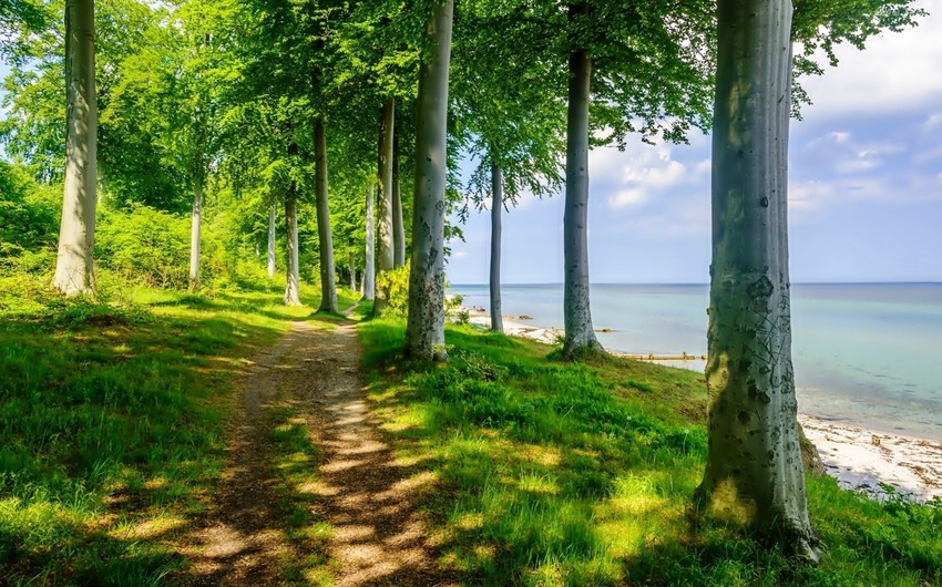 İstirahət günlərində milli parklarda gözlənilən hava şəraiti açıqlanıb