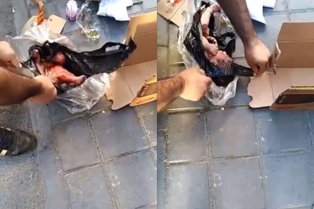 Tehranda zibil qutusuna atılmış körpə tapıldı: Dəhşətli görüntülər - VİDEO