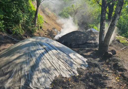 Qubada qanunsuz kömür quyuları aşkar edilib