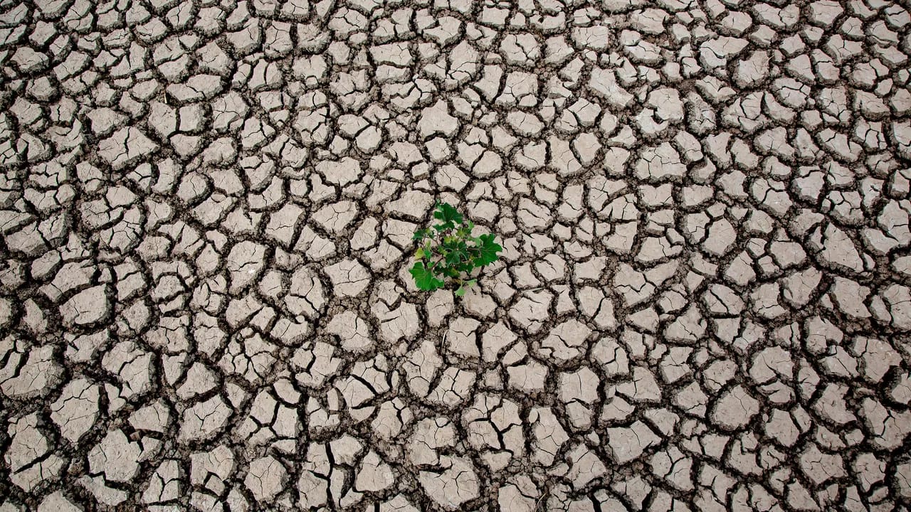 İspaniyanın bəzi bölgələrində quraqlıq səbəbindən fövqəladə vəziyyət elan edilib