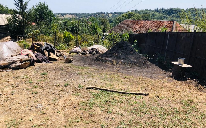 Masallıda qanunsuz kömür quyuları aşkar edilib