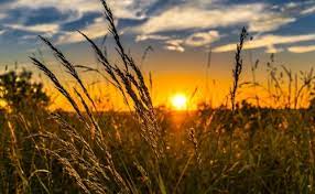 Azərbaycanda isti hava şəraiti avqustun ortalarına qədər davam edəcək