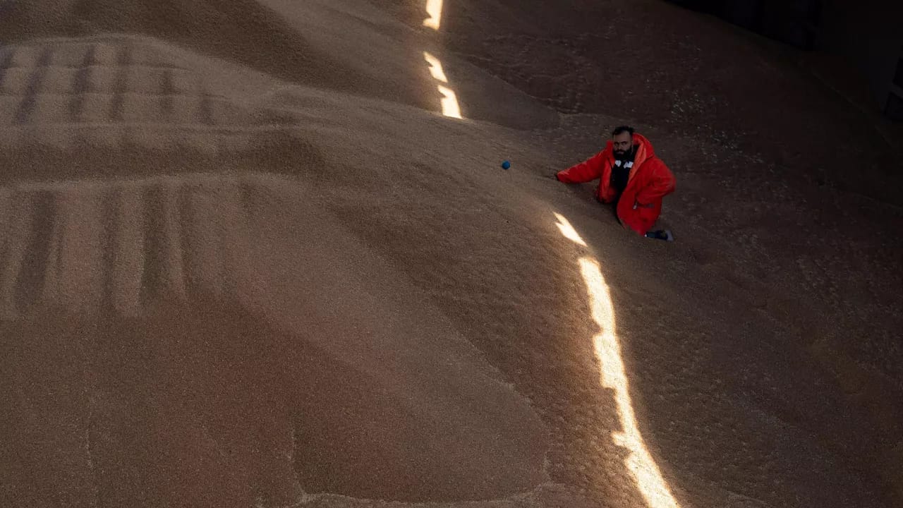 Ukraynanın taxıl ixracından əldə etdiyi gəlir yarıya düşüb