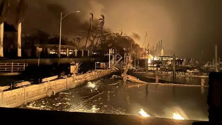 Havayda meşə yanğınları güclənir: 36 nəfər həyatını İTİRİB