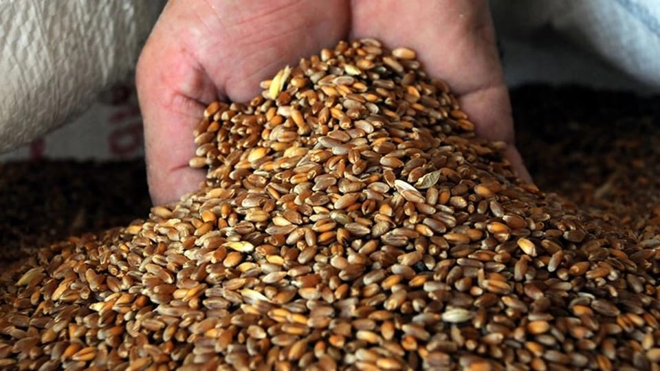 Fransanın La Roşel şəhərində buğda siloslarında yanğın baş verib