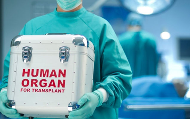 Qaraciyər, böyrək və sümük iliyi bu şərtlərlə transplantasiya olunacaq