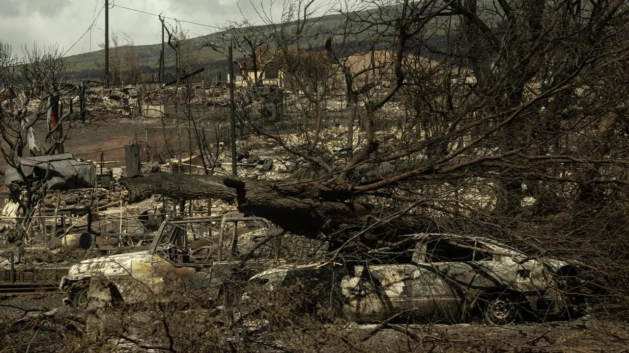 Havay adalarında baş verən yanğında ölənlərin sayı 106-ya çatıb
