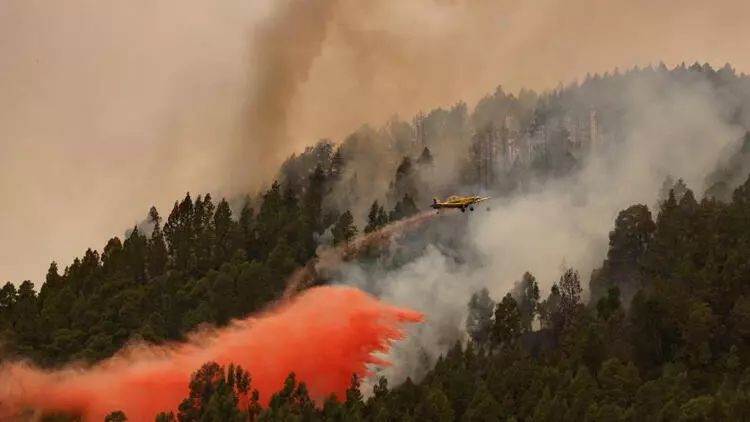 Tenerife adasında yanğın baş verib
